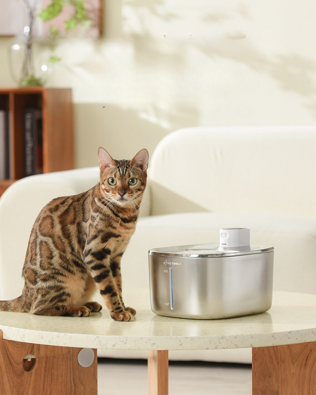 PetPeach Luxe Drinking Fountain