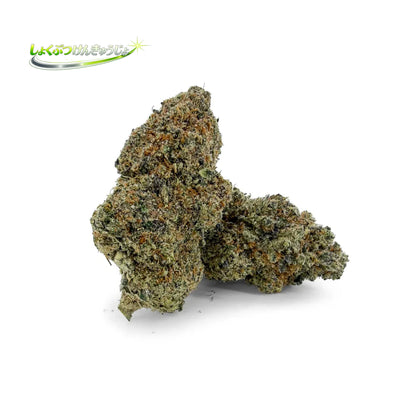 ゲイリー・ペイトン 31% THCA