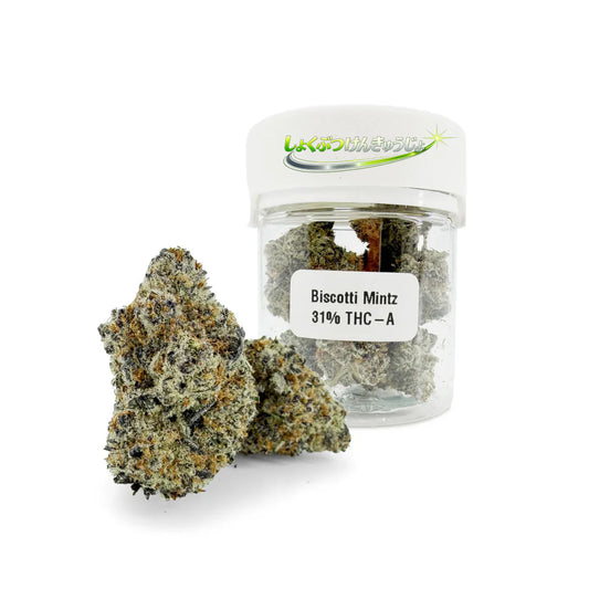 ミントズ・ビスコッティ 31% THCA