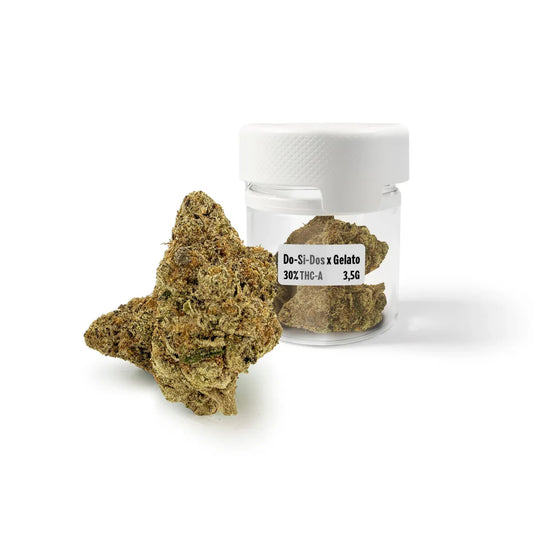 ドシドス × ジェラート 30% THCA