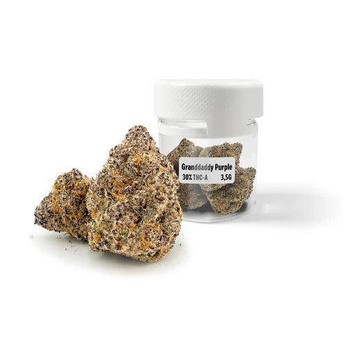 グランドダディ・パープル 30% THCA